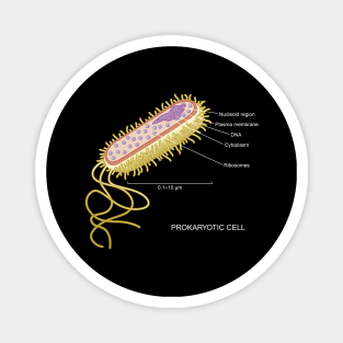 Prokaryotic Cell Magnet